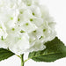 Hydrangea White Green 52cml