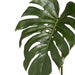 Monstera Leaf Green 85cml