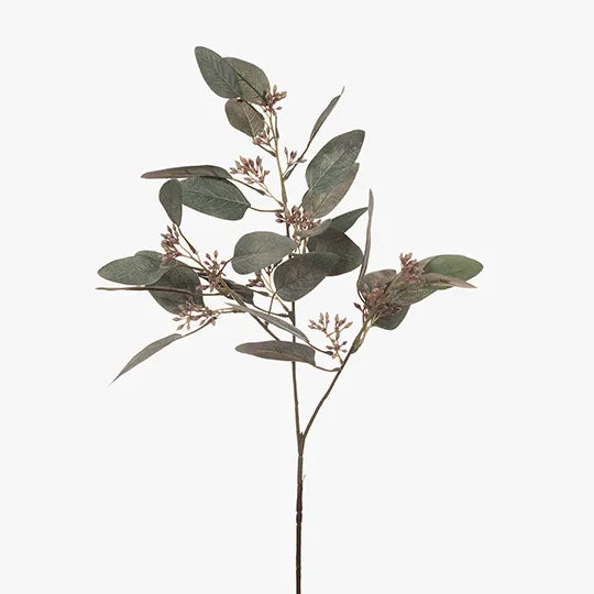 Eucalyptus Leaf & Seed Grey 62cml