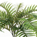 Palm Areca Bush Green 70cml