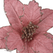 Pink Poinsettia W/clip D26cm 2 Asstd