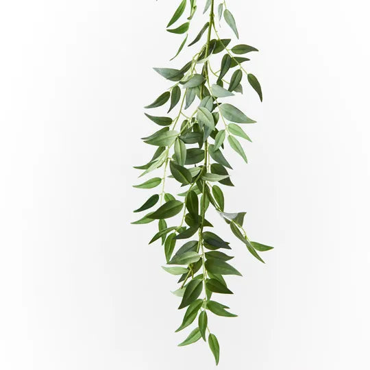 Ruscus Italian Garland Grey Green 183cml