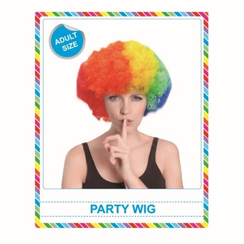 Carnival Afro Costume Wig