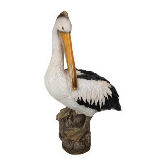 Pelican On Log 41Cm