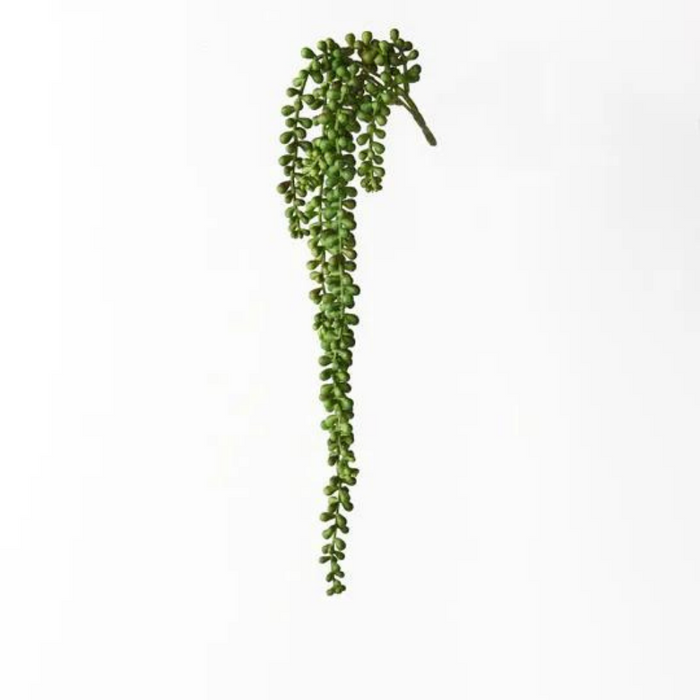 String of Pearls Hanging Bush Green 45cml