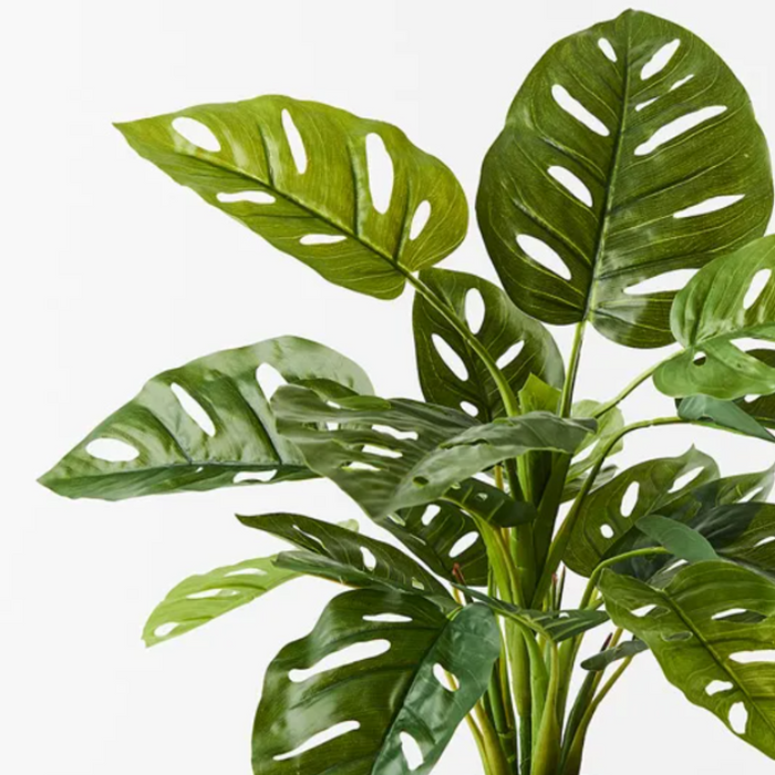 Artificial Monstera Adansonii 53cmh Green