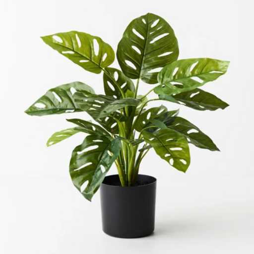 Artificial Monstera Adansonii 53cmh Green