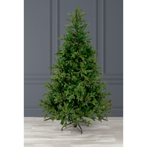 Grand Spruce Tree 210cm 7ft 650 LED WW