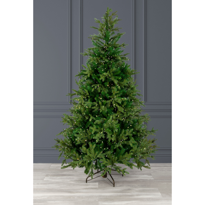 Grand Spruce Tree 210cm 7ft 650 LED WW