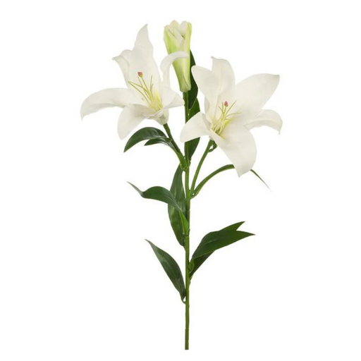 Ronis Lily Asiatic White 87cml
