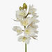 Ronis Orchid Cymbidium White 58cml