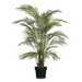 Ronis Palm Areca Green 137cmh