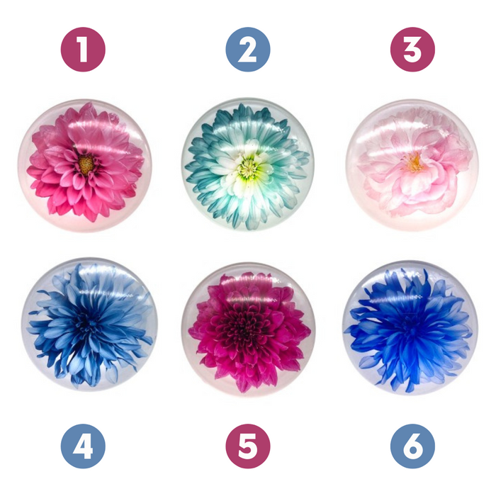 Ronis Round Glass Flower Magnet 5cm 6 Asstd