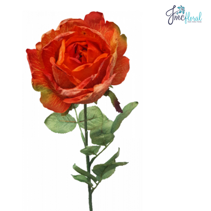 DRIED ROSE ORANGE