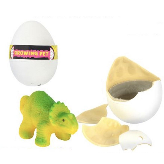 Growing Dino Egg 1pc