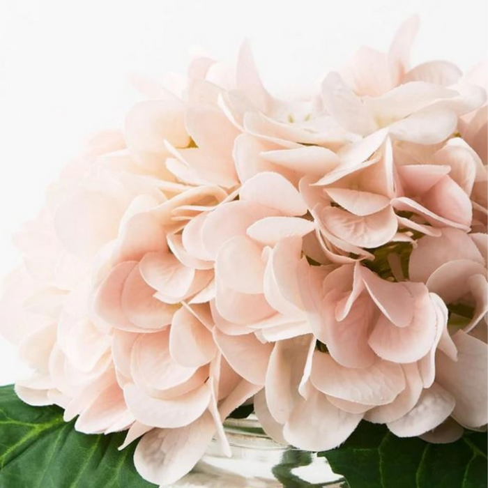 Hydrangea Mix in Vase Soft Pink 21cmh