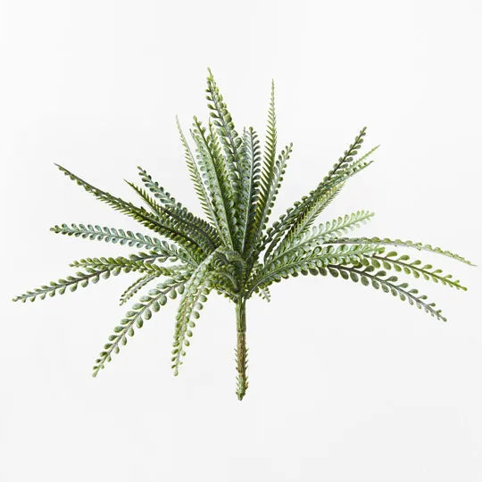 Fern Ostrich Bush Green 33cml