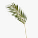 Palm Phoenix Leaf Green 76cml