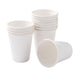 LEMON AND LIME ECO SUGARCANE CUP WHITE 250ML 12PK