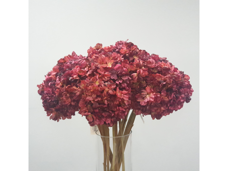 Hydrangea Bundle x3 Red