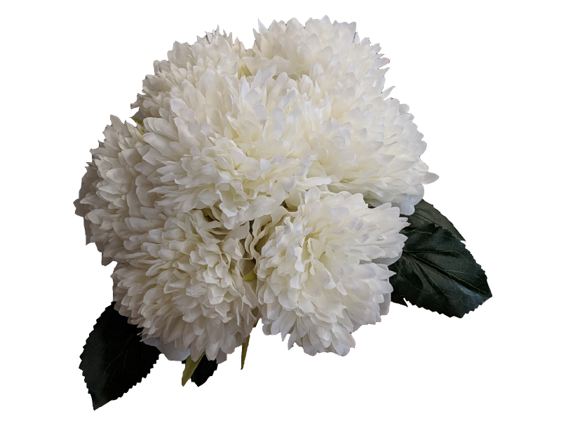 Peony Bouqeut x7 White (27cm Frilly)