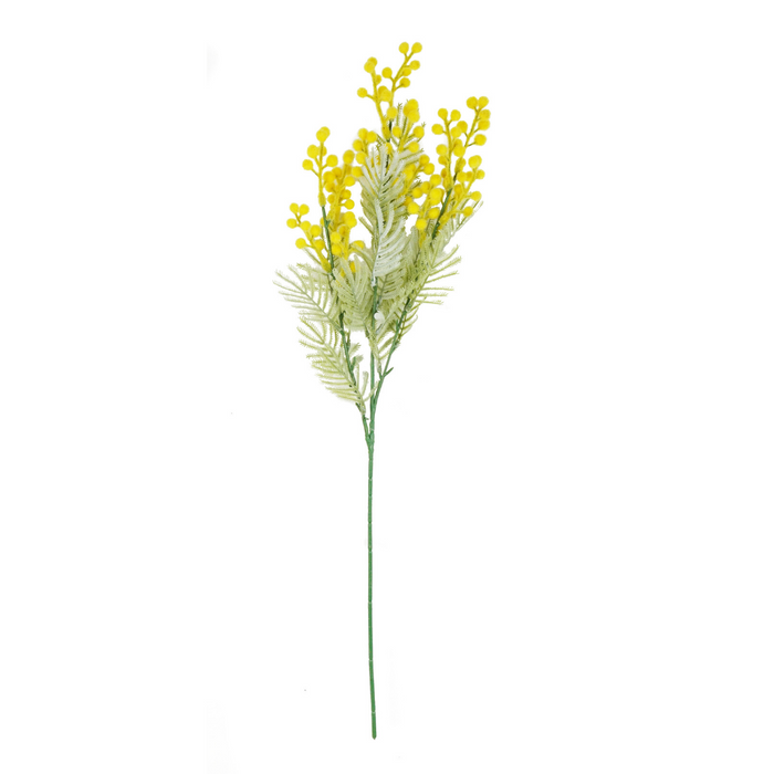 Wattle Stem Yellow 70cm